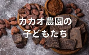 カカオ農園の子どもたち